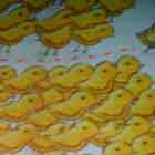 Nesta foto em cores uma superfície arredondada recebe a imagem projetada de um cartum. Percebem-se pessoas em pé e sentadas no chão, em torno da construção. O desenho mostra dezenas de pintinhos amarelos separados por uma linha pontilhada vermelha. Os pontos levam a um casal de pintinhos cobertos por camisinhas. Notam-se pequenos corações vermelhos flutuando sobre a dupla.