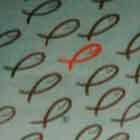 Atrás de algumas pessoas em pé e outras sentadas, nota-se uma grande cúpula nesta foto em cores. Percebe-se a imagem de um cartum projetado na superfície da construção. No desenho, nota-se apenas um peixe vermelho nadando em meio a um cardume de peixes pretos.