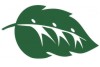 Not�cia: Olimp�ada Brasileira de Sa�de e Meio Ambiente recebe inscri��es a partir de 18 de mar�o. Descri��o da imagem: O logotipo da Ol�mpiada Brasileira de Sa�de e Meio Ambiente � o desenho estilizado de uma folha verde. Dentro dele, formando as ranhuras desta folha, observa-se o desenho formado por tr�s pessoas, tamb�m estilizadas, de m�os dadas. As formas do interior da folha foram preenchidas de branco. Fim da descri��o.