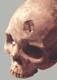 Imagem s�mbolo da mostra Paleopatologia-O Estudo da Doen�a no Passado