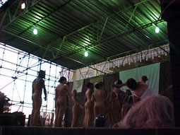 Bal� Imagens do Inconsciente: um tributo a Nise da Silveira, da Cia. Luar de Dan�a