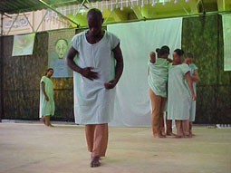 Bal� Imagens do Inconsciente: um tributo a Nise da Silveira, da Cia. Luar de Dan�a