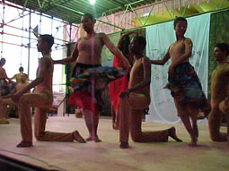 Bal� Imagens do Inconsciente: um tributo a Nise da Silveira, da Cia. Luar de Dan�a