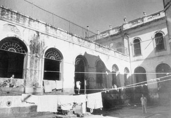 P&aacute;tio feminino