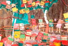 Foto revela maquete na qual se reconhece fração de uma comunidade ou favela que cresceu sobre um morro. As pequenas casas coloridas e prédios foram erguidos sem planejamento, ocupando os contornos do monte. Notam-se muitos fios, também desordenados, representando as ligações caseiras que levam energia elétrica às moradias.